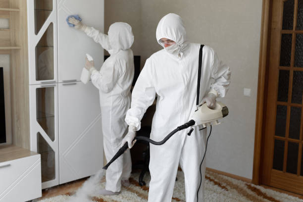 24/7 Emergency Odor Removal experts in Roscoe, IL